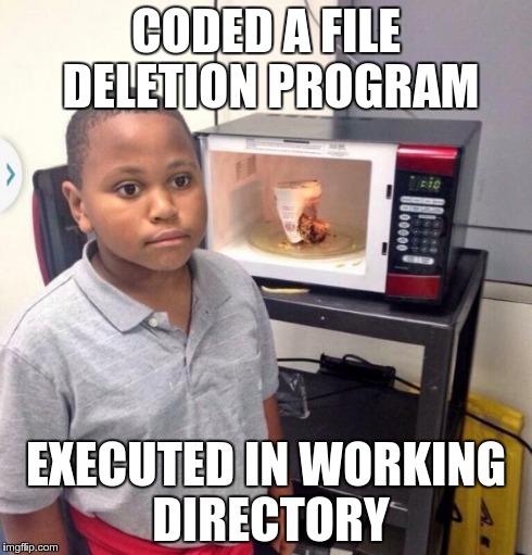 Microwave kid | CODED A FILE DELETION PROGRAM EXECUTED IN WORKING DIRECTORY | image tagged in microwave kid,ProgrammerHumor | made w/ Imgflip meme maker