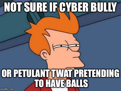 Futurama Fry Meme | NOT SURE IF CYBER BULLY OR PETULANT TWAT PRETENDING TO HAVE BALLS | image tagged in memes,futurama fry | made w/ Imgflip meme maker