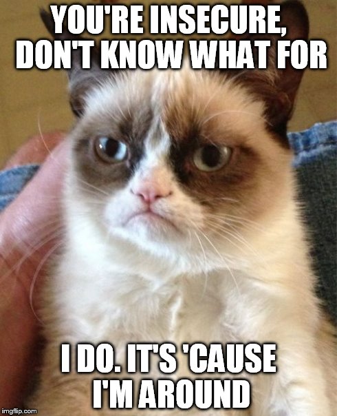 Grumpy Cat | YOU'RE INSECURE, DON'T KNOW WHAT FOR I DO. IT'S 'CAUSE I'M AROUND | image tagged in memes,grumpy cat | made w/ Imgflip meme maker
