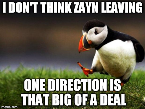 As a female | I DON'T THINK ZAYN LEAVING ONE DIRECTION IS THAT BIG OF A DEAL | image tagged in memes,unpopular opinion puffin | made w/ Imgflip meme maker