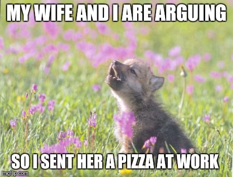 Baby Insanity Wolf | MY WIFE AND I ARE ARGUING SO I SENT HER A PIZZA AT WORK | image tagged in memes,baby insanity wolf,AdviceAnimals | made w/ Imgflip meme maker