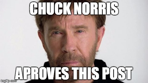 Chuck Norris | CHUCK NORRIS APROVES THIS POST | image tagged in chuck norris | made w/ Imgflip meme maker