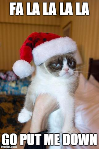 Grumpy Cat Christmas | FA LA LA LA LA GO PUT ME DOWN | image tagged in memes,grumpy cat christmas,grumpy cat | made w/ Imgflip meme maker