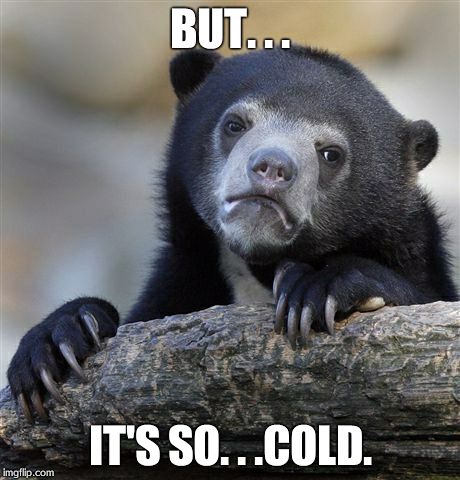 Confession Bear Meme | BUT. . . IT'S SO. . .COLD. | image tagged in memes,confession bear | made w/ Imgflip meme maker