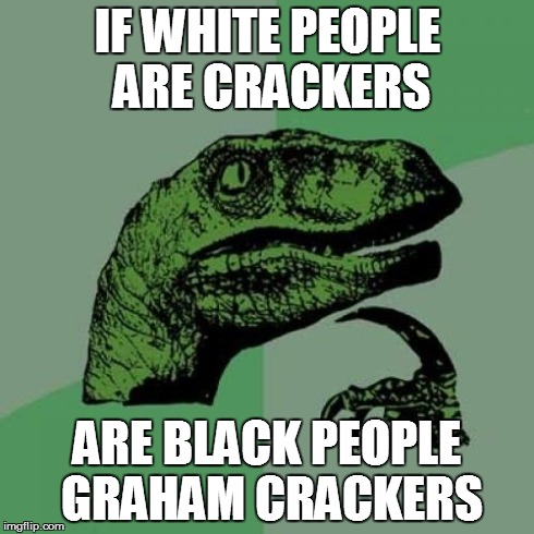 Philosoraptor Meme | IF WHITE PEOPLE ARE CRACKERS ARE BLACK PEOPLE GRAHAM CRACKERS | image tagged in memes,philosoraptor | made w/ Imgflip meme maker
