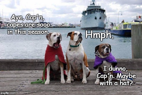 In season | Aye, Cap'n, capes are sooo in this season. Hmph. I dunno, Cap'n. Maybe with a hat? | image tagged in dogs,funny,memes,seadogs | made w/ Imgflip meme maker