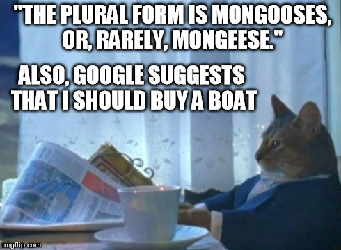 I Should Buy A Boat Cat Meme | "THE PLURAL FORM IS MONGOOSES, OR, RARELY, MONGEESE." ALSO, GOOGLE SUGGESTS THAT I SHOULD BUY A BOAT | image tagged in memes,i should buy a boat cat | made w/ Imgflip meme maker