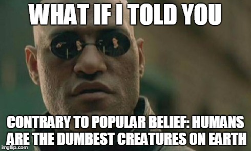 Matrix Morpheus Meme | WHAT IF I TOLD YOU CONTRARY TO POPULAR BELIEF: HUMANS ARE THE DUMBEST CREATURES ON EARTH | image tagged in memes,matrix morpheus | made w/ Imgflip meme maker