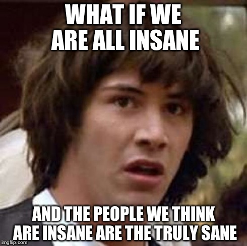 Now there's a thought... | WHAT IF WE ARE ALL INSANE AND THE PEOPLE WE THINK ARE INSANE ARE THE TRULY SANE | image tagged in memes,conspiracy keanu | made w/ Imgflip meme maker