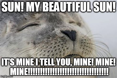 Satisfied Seal | SUN! MY BEAUTIFUL SUN! IT'S MINE I TELL YOU, MINE! MINE! MINE!!!!!!!!!!!!!!!!!!!!!!!!!!!!!!!!! | image tagged in memes,satisfied seal | made w/ Imgflip meme maker