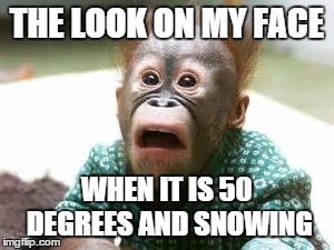 THE LOOK ON MY FACE WHEN IT IS 50 DEGREES AND SNOWING | image tagged in confused,50degrees,snowing,funny | made w/ Imgflip meme maker