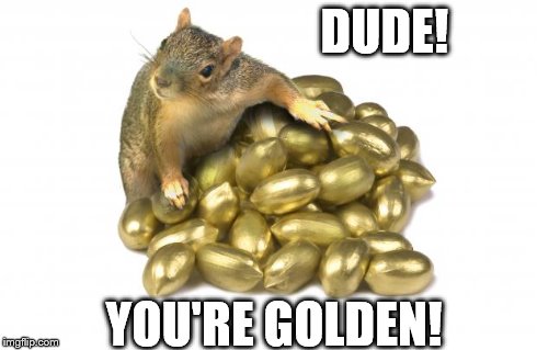 Golden nuts | DUDE! YOU'RE GOLDEN! | image tagged in golden nuts | made w/ Imgflip meme maker