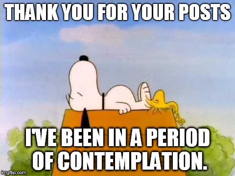 snoopywood | THANK YOU FOR YOUR POSTS I'VE BEEN IN A PERIOD OF CONTEMPLATION. | image tagged in snoopywood | made w/ Imgflip meme maker