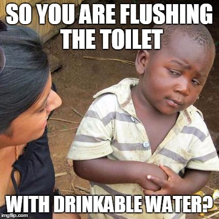 seriously... if we would do it with salty water a LOT of drinking water could be saved | SO YOU ARE FLUSHING THE TOILET WITH DRINKABLE WATER? | image tagged in memes,third world skeptical kid | made w/ Imgflip meme maker