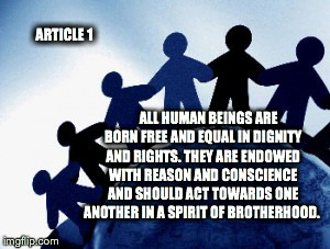 ARTICLE 1 ALL HUMAN BEINGS ARE BORN FREE AND EQUAL IN DIGNITY AND RIGHTS. THEY ARE ENDOWED WITH REASON AND CONSCIENCE AND SHOULD ACT TOWARDS | image tagged in memes | made w/ Imgflip meme maker