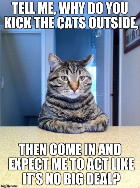 Take A Seat Cat | TELL ME, WHY DO YOU KICK THE CATS OUTSIDE, THEN COME IN AND EXPECT ME TO ACT LIKE IT'S NO BIG DEAL? | image tagged in memes,take a seat cat | made w/ Imgflip meme maker