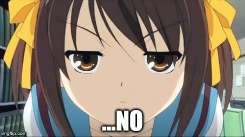 Haruhi stare | ...NO | image tagged in haruhi stare | made w/ Imgflip meme maker