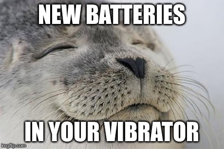 Satisfied Seal Meme | NEW BATTERIES IN YOUR VIBRATOR | image tagged in memes,satisfied seal | made w/ Imgflip meme maker