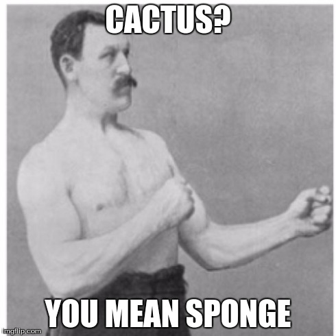 Overly Manly Man Meme | CACTUS? YOU MEAN SPONGE | image tagged in memes,overly manly man | made w/ Imgflip meme maker