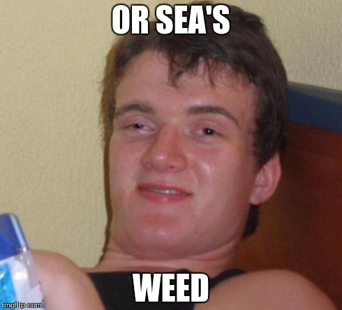 10 Guy Meme | OR SEA'S WEED | image tagged in memes,10 guy | made w/ Imgflip meme maker