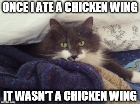 Chincken Wings | ONCE I ATE A CHICKEN WING IT WASN'T A CHICKEN WING | image tagged in food,cats,chicken,lol,forever alone | made w/ Imgflip meme maker
