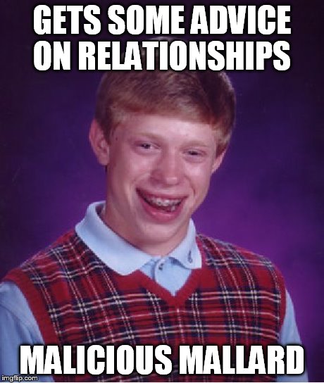 Bad Luck Brian | GETS SOME ADVICE ON RELATIONSHIPS MALICIOUS MALLARD | image tagged in memes,bad luck brian | made w/ Imgflip meme maker