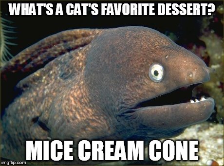WHAT'S A CAT'S FAVORITE DESSERT? MICE CREAM CONE | image tagged in bad joke eel | made w/ Imgflip meme maker
