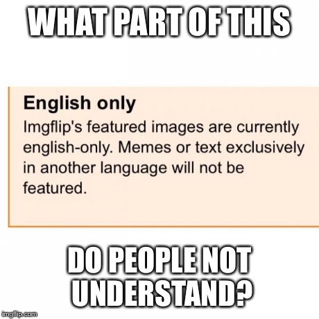 English only | WHAT PART OF THIS DO PEOPLE NOT UNDERSTAND? | image tagged in english only,imgflip | made w/ Imgflip meme maker