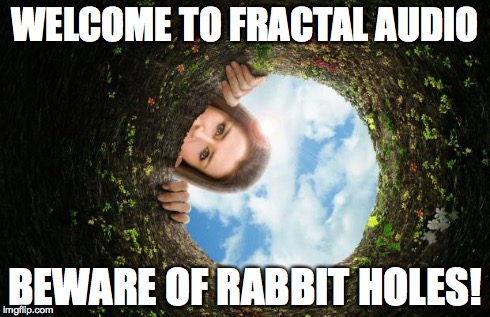 WELCOME TO FRACTAL AUDIO BEWARE OF RABBIT HOLES! | made w/ Imgflip meme maker