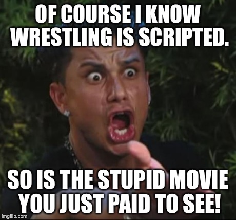 DJ Pauly D | OF COURSE I KNOW WRESTLING IS SCRIPTED. SO IS THE STUPID MOVIE YOU JUST PAID TO SEE! | image tagged in memes,dj pauly d | made w/ Imgflip meme maker