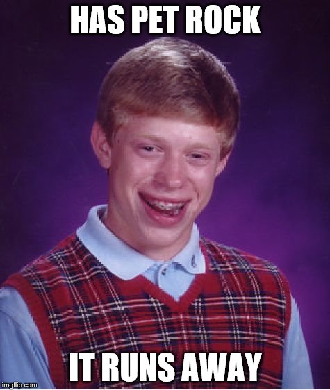 Bad Luck Brian | HAS PET ROCK IT RUNS AWAY | image tagged in memes,bad luck brian | made w/ Imgflip meme maker