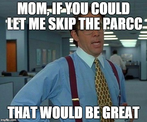 That Would Be Great Meme | MOM, IF YOU COULD LET ME SKIP THE PARCC THAT WOULD BE GREAT | image tagged in memes,that would be great | made w/ Imgflip meme maker