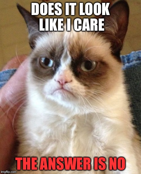 Grumpy Cat Meme | DOES IT LOOK LIKE I CARE THE ANSWER IS NO | image tagged in memes,grumpy cat | made w/ Imgflip meme maker