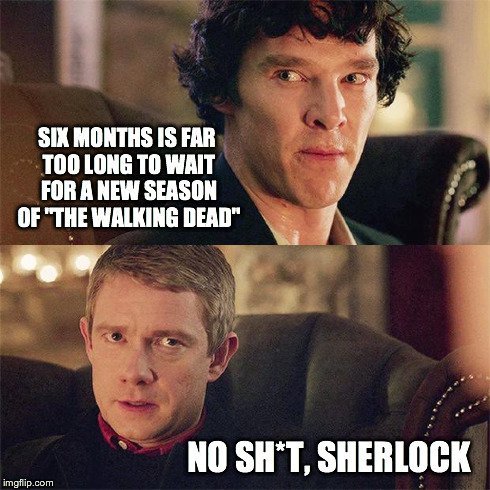 No Sh*t Sherlock (BBC) | SIX MONTHS IS FAR TOO LONG TO WAIT FOR A NEW SEASON OF "THE WALKING DEAD" NO SH*T, SHERLOCK | image tagged in no sht sherlock bbc,the walking dead | made w/ Imgflip meme maker