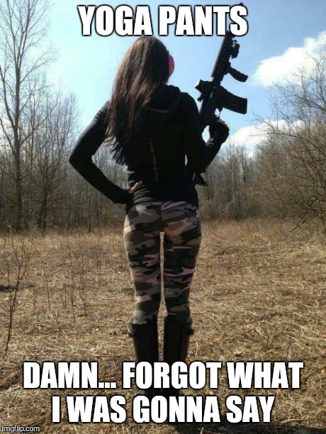 yoga pants | YOGA PANTS DAMN... FORGOT WHAT I WAS GONNA SAY | image tagged in yoga pants | made w/ Imgflip meme maker
