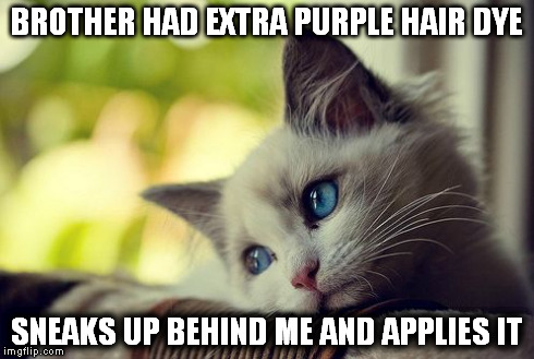 First World Problems Cat | BROTHER HAD EXTRA PURPLE HAIR DYE SNEAKS UP BEHIND ME AND APPLIES IT | image tagged in memes,first world problems cat | made w/ Imgflip meme maker