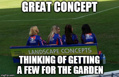 Great Landscaping Concepts | GREAT CONCEPT THINKING OF GETTING A FEW FOR THE GARDEN | image tagged in funny | made w/ Imgflip meme maker