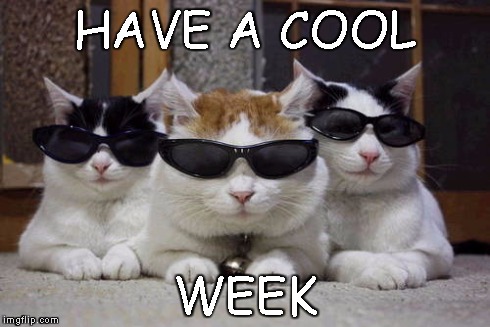 HAVE A COOL WEEK | made w/ Imgflip meme maker