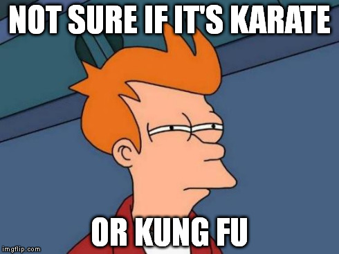 Futurama Fry Meme | NOT SURE IF IT'S KARATE OR KUNG FU | image tagged in memes,futurama fry | made w/ Imgflip meme maker