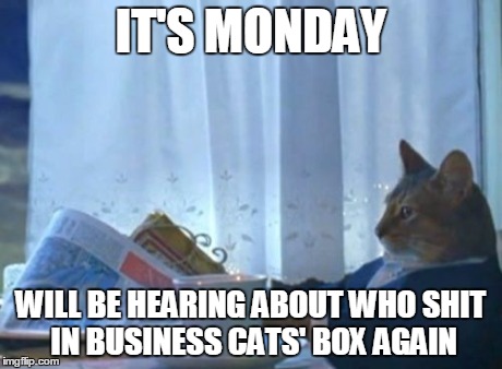 I Should Buy A Boat Cat | IT'S MONDAY WILL BE HEARING ABOUT WHO SHIT IN BUSINESS CATS' BOX AGAIN | image tagged in memes,i should buy a boat cat | made w/ Imgflip meme maker