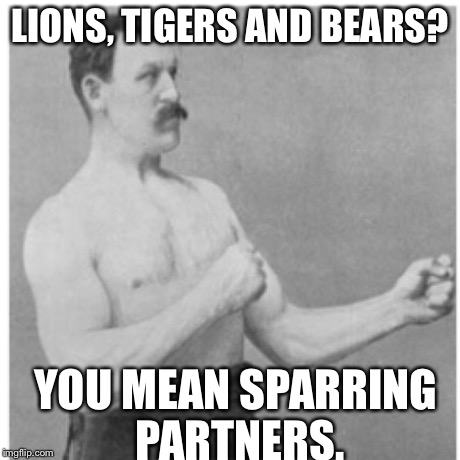 Overly Manly Man Meme | LIONS, TIGERS AND BEARS? YOU MEAN SPARRING PARTNERS. | image tagged in memes,overly manly man | made w/ Imgflip meme maker