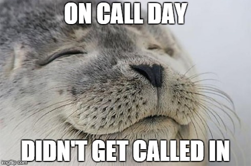 Satisfied Seal Meme | ON CALL DAY DIDN'T GET CALLED IN | image tagged in memes,satisfied seal,AdviceAnimals | made w/ Imgflip meme maker