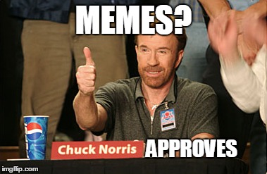 Chuck Norris loves memes | MEMES? APPROVES | image tagged in memes,chuck norris approves | made w/ Imgflip meme maker
