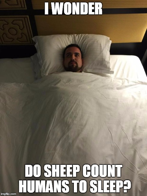 I WONDER DO SHEEP COUNT HUMANS TO SLEEP? | image tagged in dedicated friends,AdviceAnimals | made w/ Imgflip meme maker