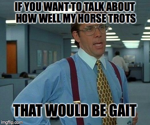 That Would Be Great | IF YOU WANT TO TALK ABOUT HOW WELL MY HORSE TROTS THAT WOULD BE GAIT | image tagged in memes,that would be great | made w/ Imgflip meme maker