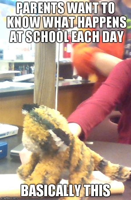 PARENTS WANT TO KNOW WHAT HAPPENS AT SCHOOL EACH DAY BASICALLY THIS | image tagged in hung tiger | made w/ Imgflip meme maker