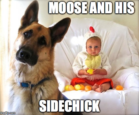Adventures of Ollie and Moose | MOOSE AND HIS SIDECHICK | image tagged in side chick | made w/ Imgflip meme maker