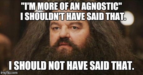 Hagrid | "I'M MORE OF AN AGNOSTIC"  
I SHOULDN'T HAVE SAID THAT. I SHOULD NOT HAVE SAID THAT. | image tagged in hagrid | made w/ Imgflip meme maker