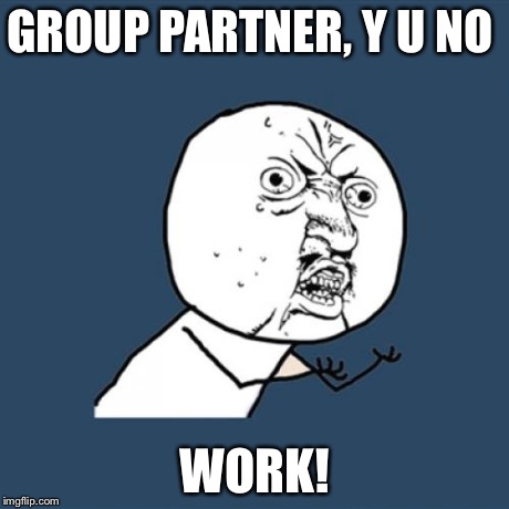 Y U No | GROUP PARTNER, Y U NO WORK! | image tagged in memes,y u no | made w/ Imgflip meme maker