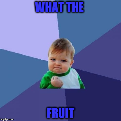 Success Kid Meme | WHAT THE FRUIT | image tagged in memes,success kid | made w/ Imgflip meme maker